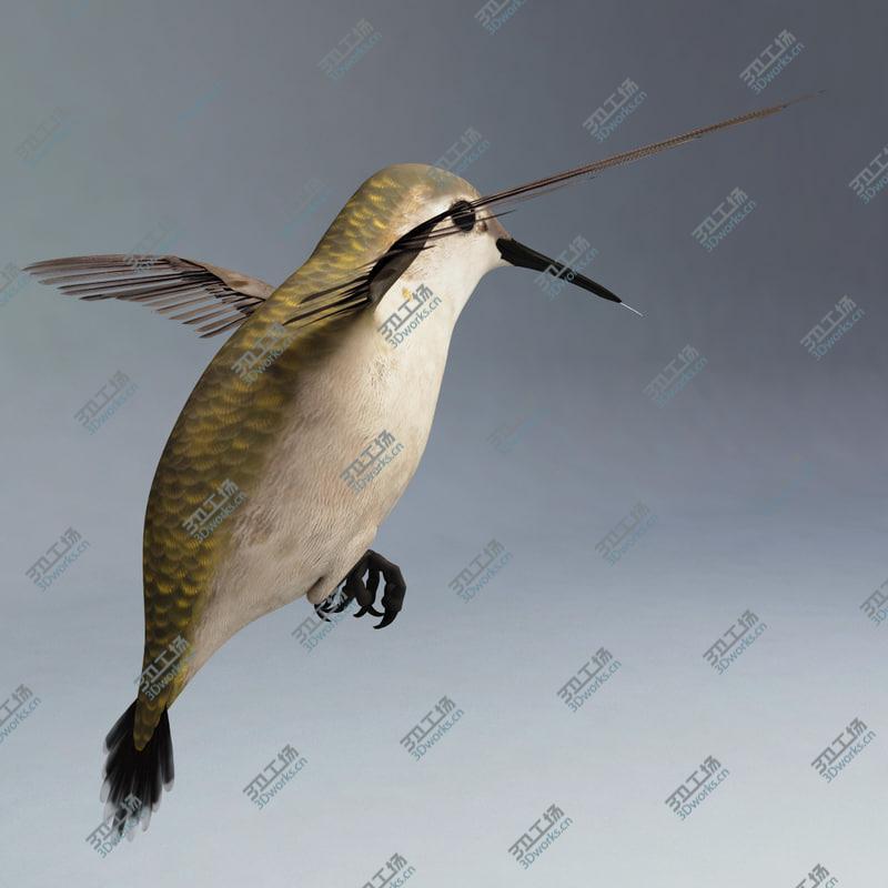 images/goods_img/2021040162/Hummingbird Pose1/5.jpg